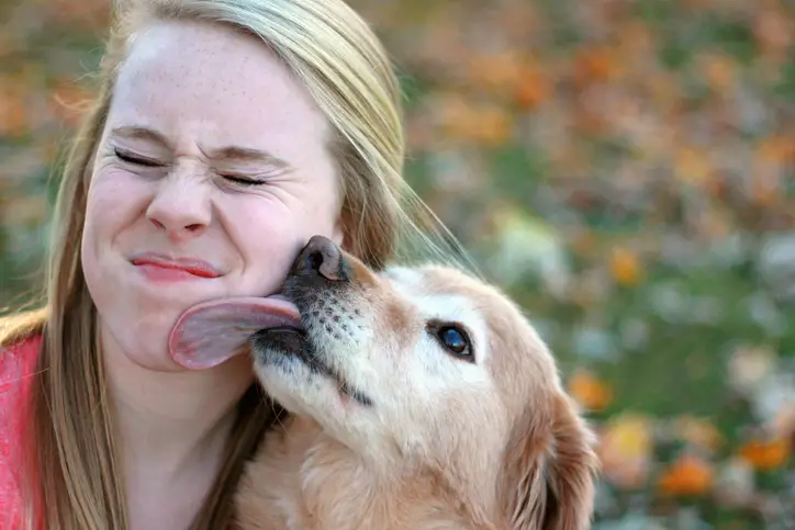 why-does-my-dog-lick-my-legs-puppies-for-sale